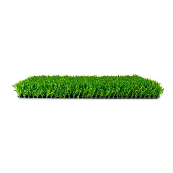 Green grass strip isolated on white background.