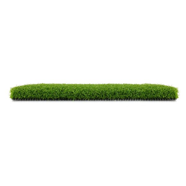 A side look of artificial grass on a white background