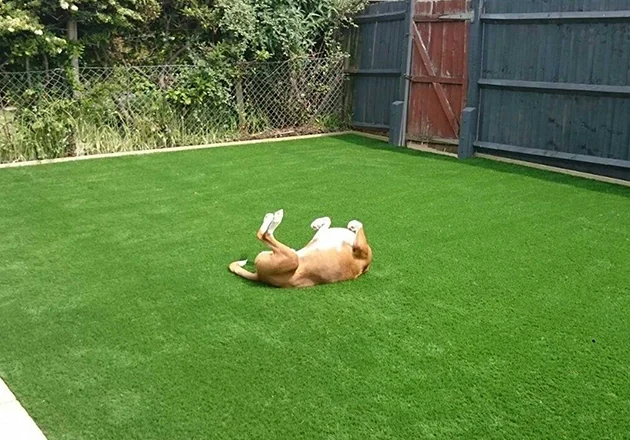 How Turf Enhances Your Pet's Playtime in Prosper